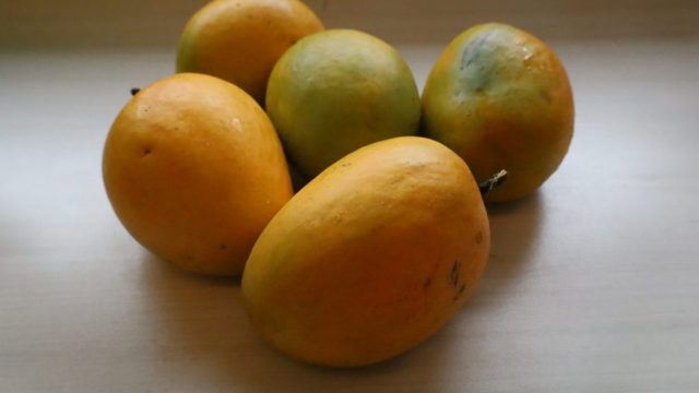 Discovering the Best Indian Mangoes in Philadelphia: A Culinary Adventure