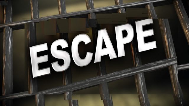 Daring Escape: Prisoner Steals County Van but Recaptured Quickly | top 50 online casinos, download p