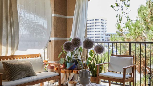 Discover the Ultimate Outdoor Comfort with Costco's New Sun Shade