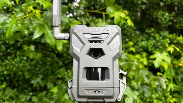 Affordable Cellular Trail Cameras: Your Ultimate Guide to Budget-Friendly Options | idcash88, mason 
