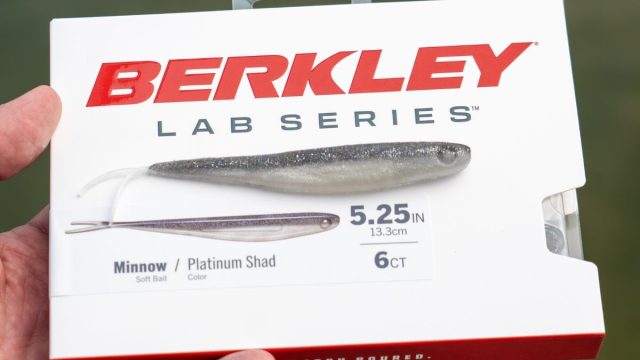 Exploring Berkley's Latest Lab Series: Is It Worth the Buzz? | slotbonus new member, cicak di buku m