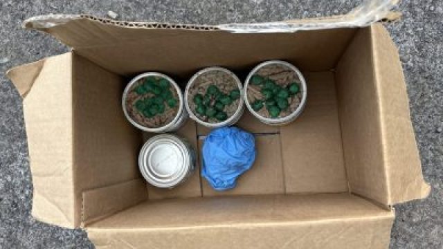 Contaminated Cat Food Discovered in Dryden: Urgent Community Alert | slotjoint 100 free spins book o