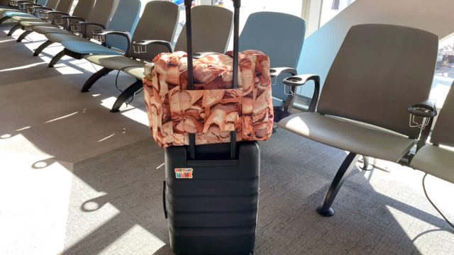 The Essential Carry-On: Discovering the Cult-Favorite Bag You Need