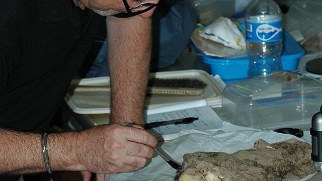 Uncovering the Bond: Mummified Dogs Show Ancient Human-Pet Connections