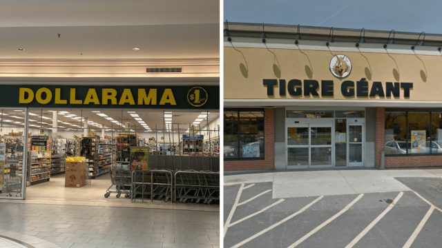 Grocery Price Showdown: Dollarama vs Giant Tiger – Where to Save More?