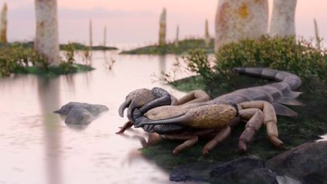 Unraveling the Mysteries of the Largest Ancient Scorpion