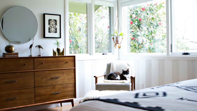 Transform Your Cat Care Routine with Smart Litter Box Innovations