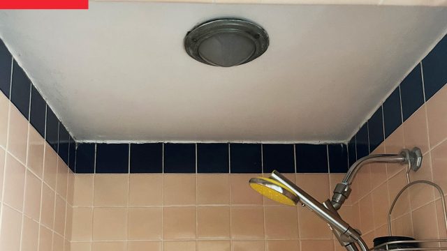 Transform Your Shower Space with a Celestial Mural Inspiration
