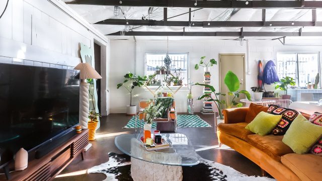 Why Every Home Should Consider Animal-Shaped Rugs for Style and Comfort
