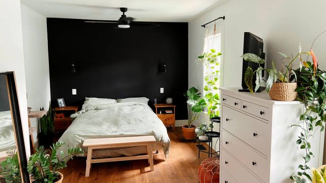 Why Choosing Bold Wall Colors Can Backfire: A Cautionary Tale