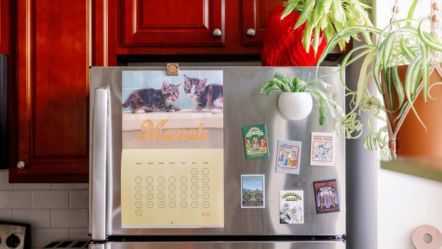 Revolutionizing Kitchen Storage: The Dollar Tree Dish Rack Hack