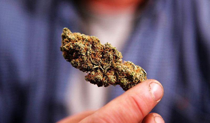 Study shows: Marijuana may be effective in treating cancer - pinned emoticon