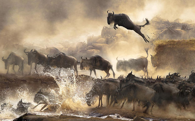 10 world-class photography competition-winning works that will give you a sense of nature, society and life - top emoticons